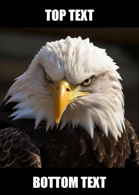 Preview for Angry-bald-eagle-meme-template-meme-animal-3c145