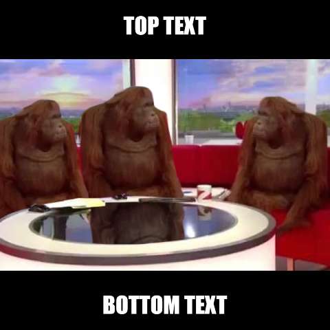 Preview for Orangutans-talk-show-meme-meme-animal-template-dcf72