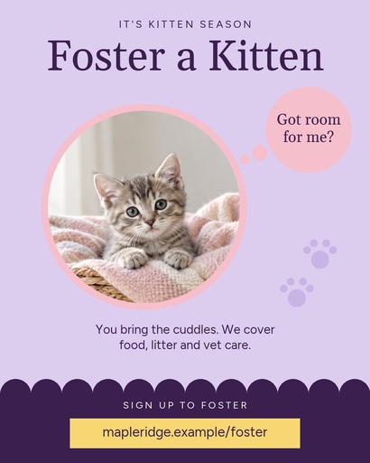 Portrait post size of Spring Kitten Season Fosters