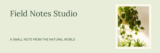Email header size of Field Notes Studio