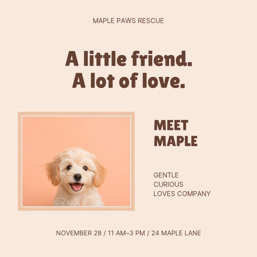Square post size of Meet Maple