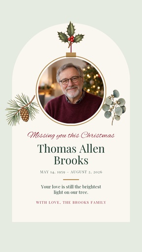 Story opener size of Missing You This Christmas