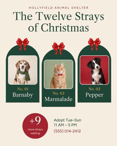 Portrait post size of The Twelve Strays of Christmas