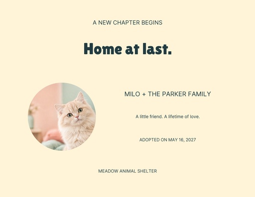 Keepsake certificate size of Hello Little Whiskers