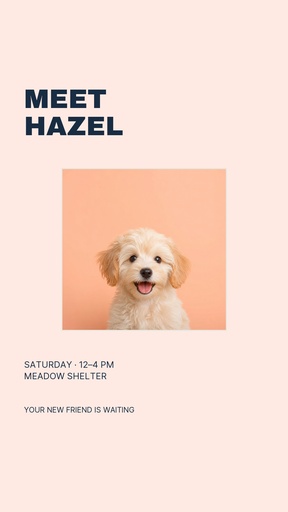 Story opener size of A Home for Hazel