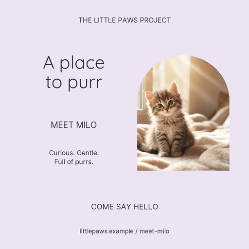 Square post size of A Place to Purr
