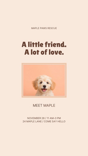 Story opener size of Meet Maple