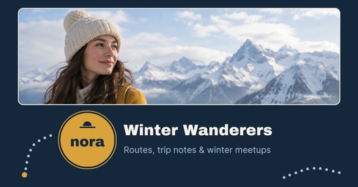 Group cover size of The Winter Wanderer