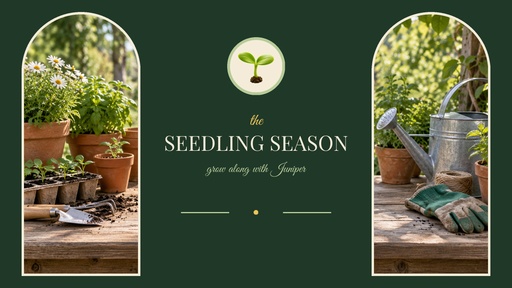YouTube banner size of The Seedling Season