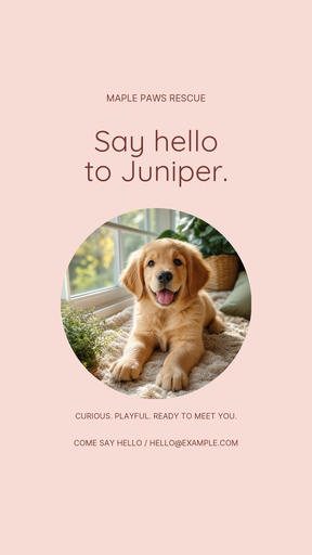 Story opener size of Say Hello to Juniper