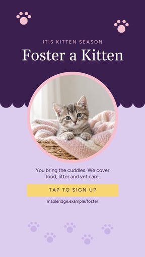 Story opener size of Spring Kitten Season Fosters