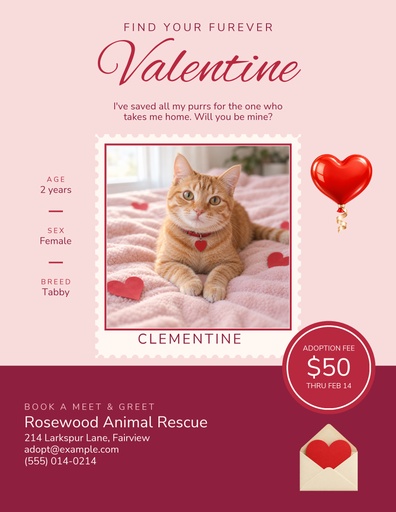 Letter flyer size of Find Your Furever Valentine