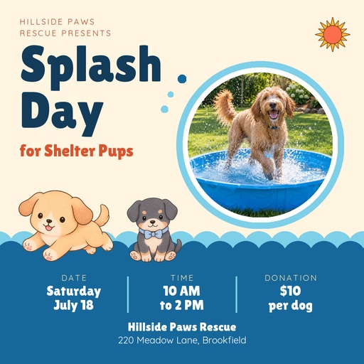 Square post size of Splash Day for Shelter Pups