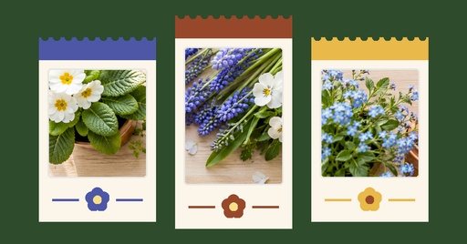 Event cover size of Bloom and Grow Garden Shop