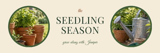 Email header size of The Seedling Season