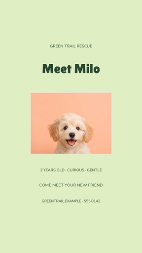 Story opener size of Milo Finds Home