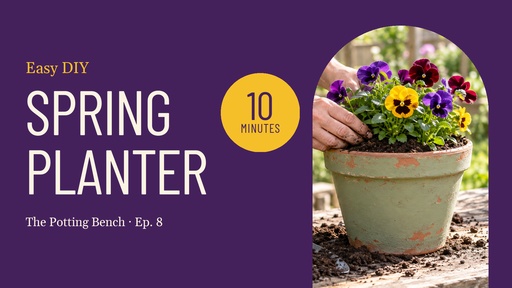 Video series title card size of Easy Spring Planter in 10 Minutes
