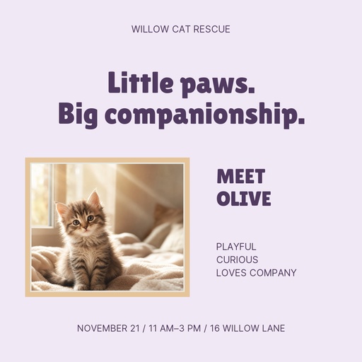 Square post size of Purrfect Little Company