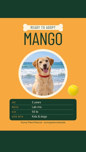 Story opener size of Meet Mango, Ready to Adopt