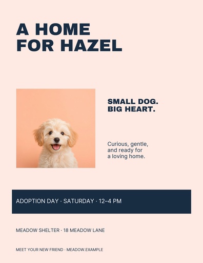 Letter flyer size of A Home for Hazel