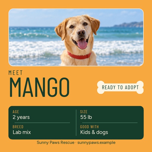 Square post size of Meet Mango, Ready to Adopt