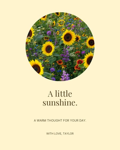 Portrait post size of Sending a Little Sunshine