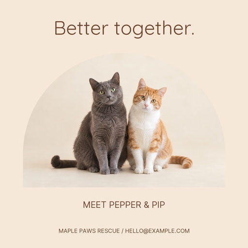 Square post size of Meet Pepper and Pip