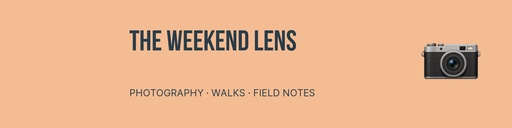 LinkedIn banner size of The Weekend Lens
