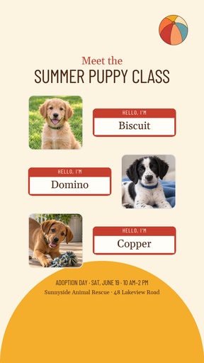 Story opener size of Meet the Summer Puppy Class