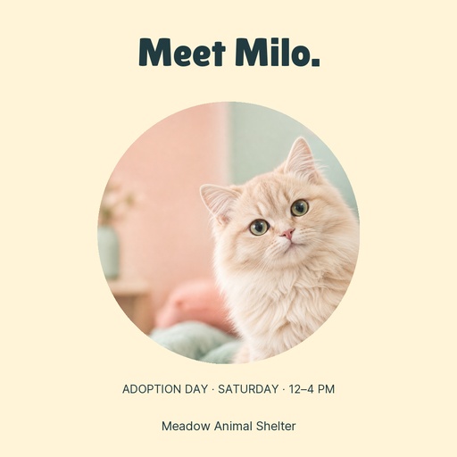 Square post size of Hello Little Whiskers