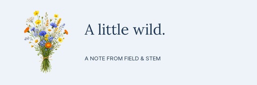 Email header size of Field and Stem