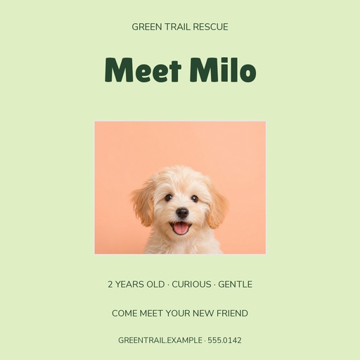 Square post size of Milo Finds Home