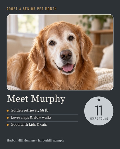 Portrait post size of Gray Muzzle Adoption Month