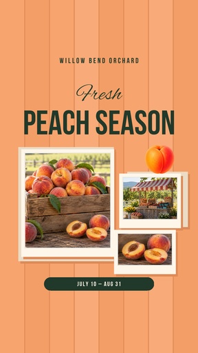Static Reel cover size of Fresh Peach Season