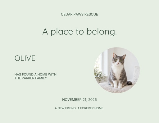Keepsake certificate size of Olive Finds a Family