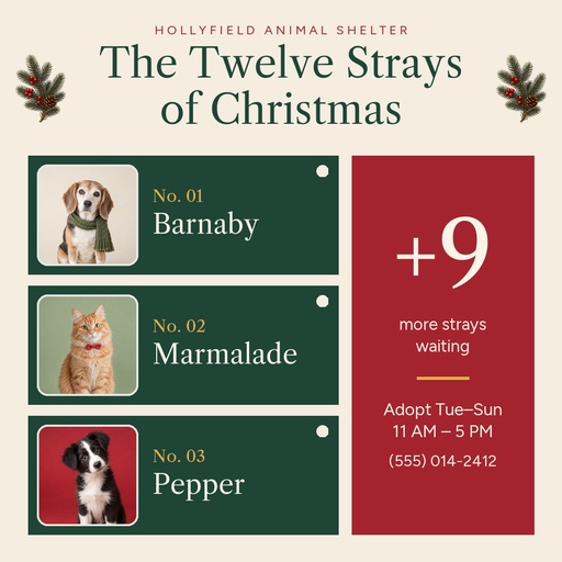 Square post size of The Twelve Strays of Christmas