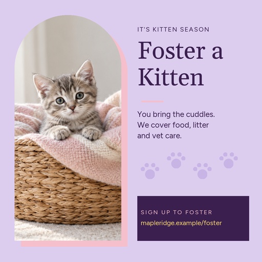 Square post size of Spring Kitten Season Fosters