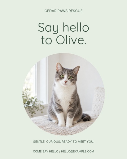 Portrait post size of Olive Finds a Family