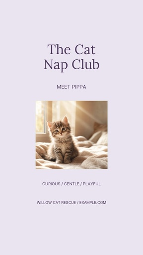 Story opener size of The Cat Nap Club