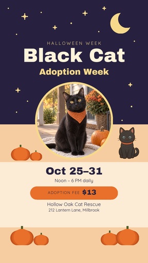 Story opener size of Black Cat Adoption Week