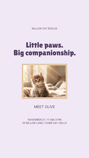 Story opener size of Purrfect Little Company