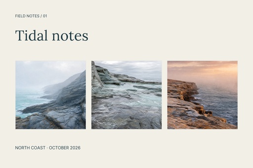 Landscape collage size of Tidal Notes