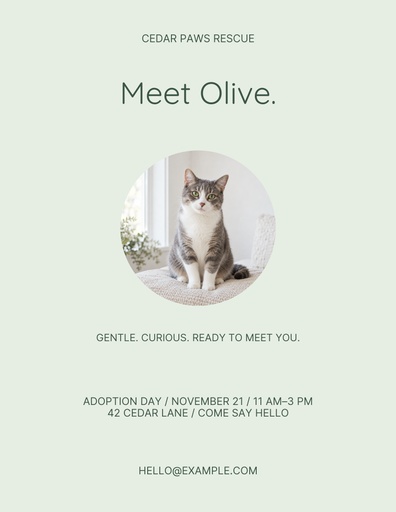 Letter flyer size of Olive Finds a Family