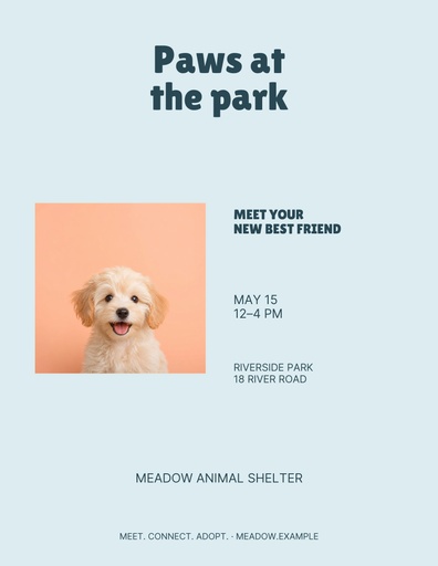 Letter flyer size of Paws at the Park