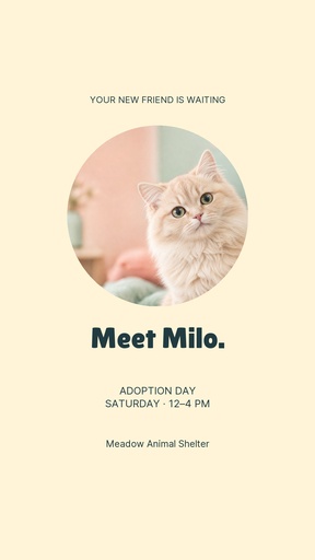 Story opener size of Hello Little Whiskers