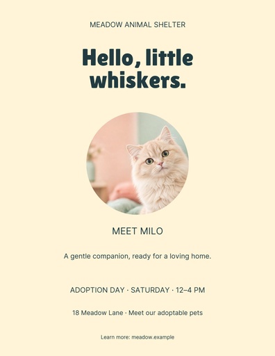 Letter flyer size of Hello Little Whiskers