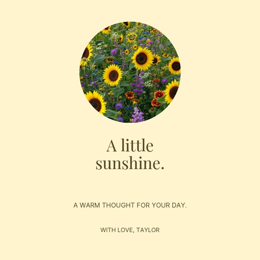 Square post size of Sending a Little Sunshine