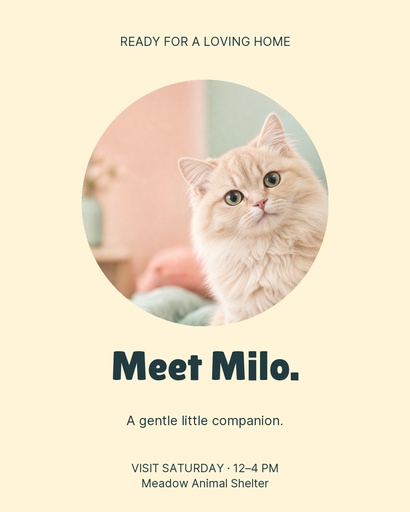 Portrait post size of Hello Little Whiskers