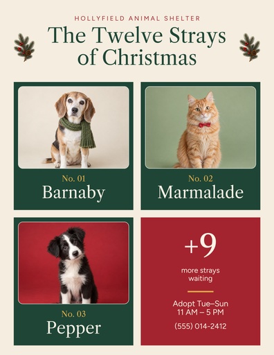Letter flyer size of The Twelve Strays of Christmas