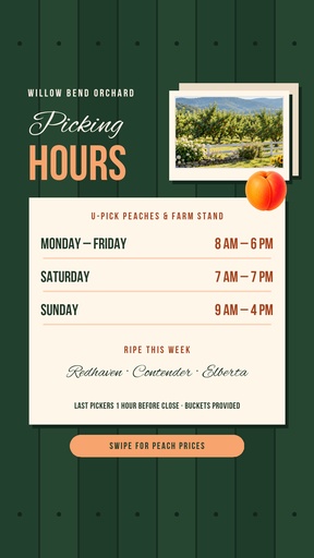 Story detail size of Fresh Peach Season